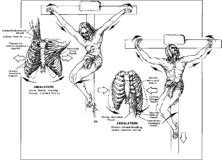 JAMA5