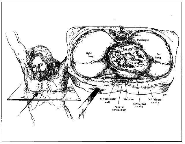 JAMA6